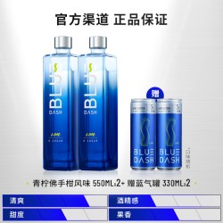 布鲁大师 550ml零糖零脂15度青柠低度微醺利口酒2瓶装