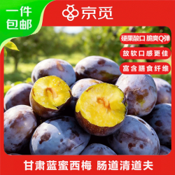 京觅 甘肃蓝蜜西梅 2.5斤 中果15g+ 甜西梅 新鲜水果 应季源头直发