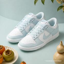 NIKE DUNK LOW NEXT NATURE IB7311-100 休闲运动鞋
