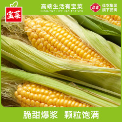 佳农 新鲜黄甜玉米净重3斤