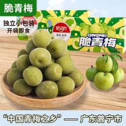 精灵猫 清脆话梅蜜饯独立包装爆汁酸甜青脆梅
