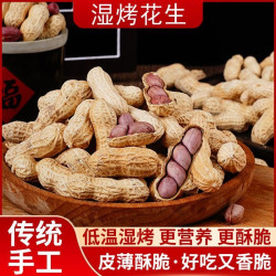 正宗龙岩美味红衣紫衣湿烤酥脆五香传统休闲零食坚果炒货宝藏零食