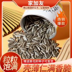 精品罐装原味古法大颗粒内蒙葵瓜子年货炒货休闲坚果零食
