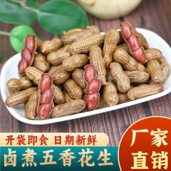 我老家 零食卤花生五香花生新货五香味水煮花生香辣正宗花生米500G*2袋