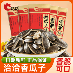 洽洽 香瓜子22g*10袋恰恰红袋宿舍追剧解馋零食小吃五香葵花籽炒货