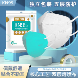 一次性5层95防护3D立体口罩