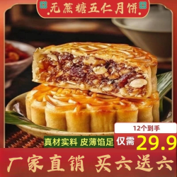 无蔗糖五仁月饼营养健康代餐