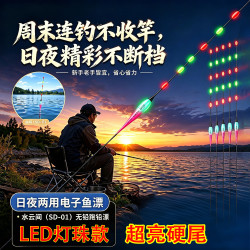 精简 LED灯珠硬尾无铅夜光漂拖钓漂黑坑青鱼大物漂醒目日夜两用鱼漂