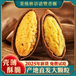 浙江诸暨老树香榧新鲜炒制原味手剥好剥壳特产上班解馋耐吃小零食