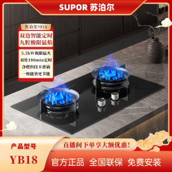 苏泊尔 YB18左右双定时九腔火宽裕开孔网红燃气灶具两用双灶猛火灶