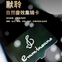 zey煲机hifi音效专用卡