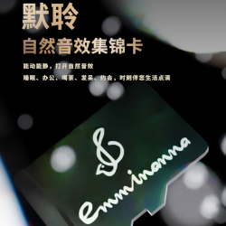 zey煲机hifi音效专用卡