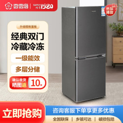 香雪海 168升冰箱双开门 冰箱小型家用宿舍租房省电电冰箱