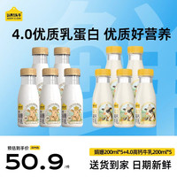 认养一头牛 低温奶 娟姗200ml*5+4.0高钙牛乳200ml*5