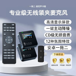 花斑鼠 无线领夹麦克风直播声卡话筒一体设备网红直播唱歌拍视频一拖二