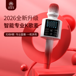 星麦克 A8话筒音响一体麦克风唱歌K歌声卡家庭ktv儿童家用蓝牙专用