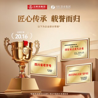 林湖 川红工夫金85特级橘糖香红茶 250g