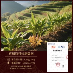 力洋 东海力洋32度金奖黄精酒2瓶送男人黄精养酒生