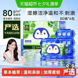 德佑 家庭实惠装 湿厕纸80抽*6包