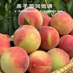 京鲜生 中华桃王水蜜桃净重4.5斤装 单果200g+ 新鲜水果 源头直发