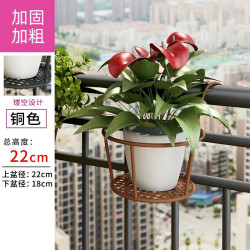 阳台花架铁艺多肉绿萝挂架