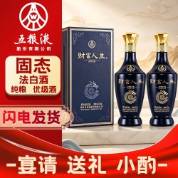 五粮浓香 五粮液财富人生浓香型白酒四川名酒 52度 500mL 2瓶 两瓶装蓝钻