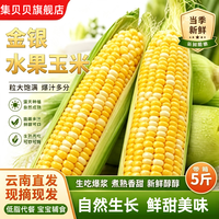 京东 云南金银水果玉米甜糯新鲜金银玉米粒甜玉米云南玉米鲜糯玉米B 水果玉米3斤——净重2.5斤