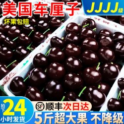 顶掌柜 顺丰美国车厘子大樱桃进口5斤新鲜水果当季包邮整箱孕妇4j包邮