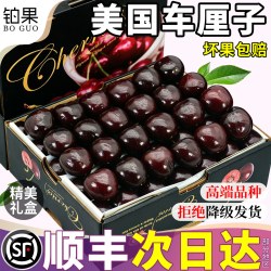 铂果 顺丰礼盒 美国黑珍珠车厘子5斤进口大樱桃新鲜水果正宗整箱包邮甜