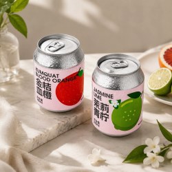 斑马精酿 啤酒果味啤酒低度甜酒气泡水果啤酒组合2罐装