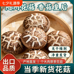 鄂随菇业 随州花菇干货茶花菇香菇蘑菇营养菌菇蘑菇冬菇农家特产无干燥剂