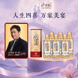 水井坊 水井宴52度500ml*6瓶整箱浓香型粮酒