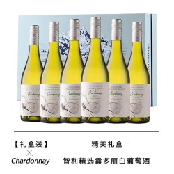 菲特瓦 智利原瓶进口干白葡萄酒精选霞多丽整箱送礼