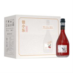 佳记 佳小乐新品杨梅果酒20.5度50天传统浸渍工艺多种DIY方式 自饮送礼