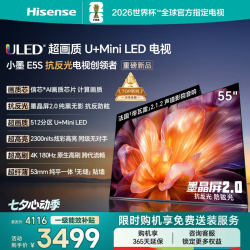 海信 小墨系列 55E5S 液晶电视 55英寸