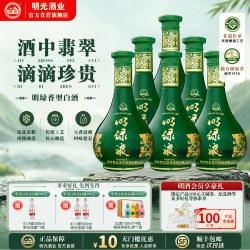 老明光 明绿液 42度450ml*6瓶 明绿香型白酒 普绿