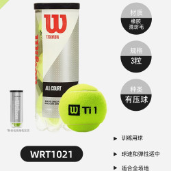 威尔胜 TITANIUM训练网球罐装 WRT1062 3只
