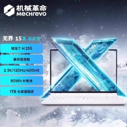 机械革命 笔记本电脑   AMD 锐龙 R7 8745HS 2560x1600像素 集成显卡 32GB，24GB 120Hz 1TB