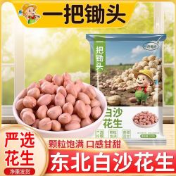 一把锄头 新鲜大粒白沙花生米 无壳 250g