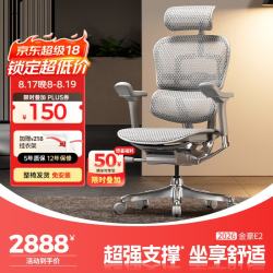 Ergonor 金豪E 2代 人体工学电脑椅 银白色 Q4.0版