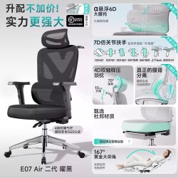 莱克－帝家 人体工学椅