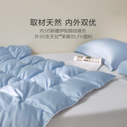 罗莱生活 95%鹅绒A类可水洗天丝莱赛尔夏凉被 200cm*230cm