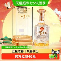 一尊天下 五粮液股份公司出品 一尊天下盛世佳品 52度浓香型白酒 500ml