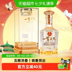 一尊天下 五粮液股份公司出品 一尊天下盛世佳品 52度浓香型白酒 500ml