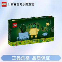乐高 花植系列10349快乐盆栽男女孩摆件装饰拼搭积木模型玩具礼物