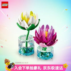 乐高 11511 睡莲积木拼插套装