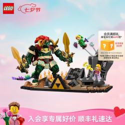 乐高 D2C款 积木拼装玩具