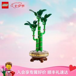 乐高 花卉植物系列 10344 富贵竹