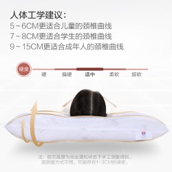 富安娜 决明子抗菌枕 50*30*6cm