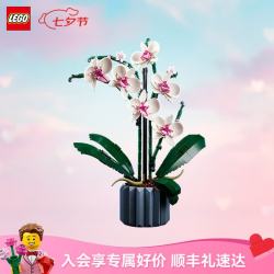 乐高 Botanical Collection植物收藏系列 10311 兰花